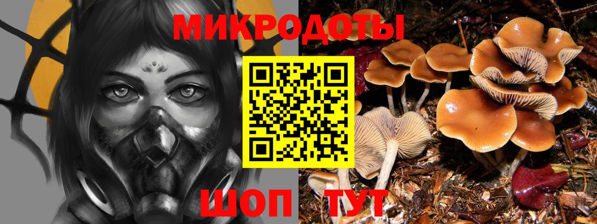 Псилоцибиновые грибы ЛСД  Галлюциногенные грибы Magic Shrooms  Чайковский  Вход с VPN 