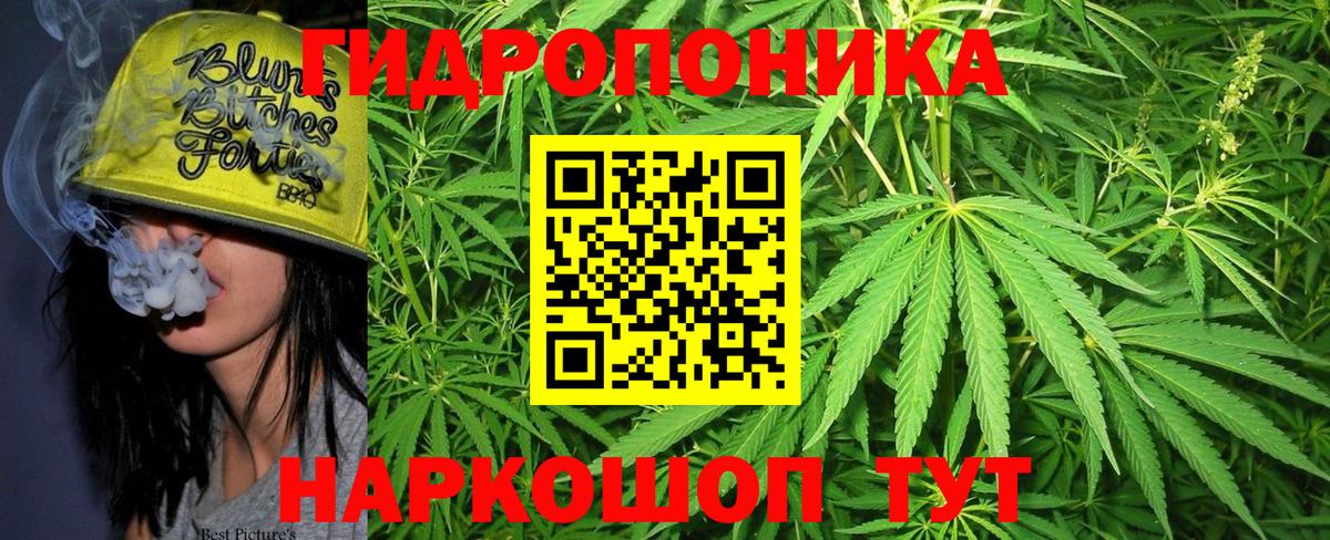 Бошки Шишки Ganja  Вход с VPN  Марихуана сатива  Чайковский  Конопля VHQ  МАРИХУАНА THC 21% 
